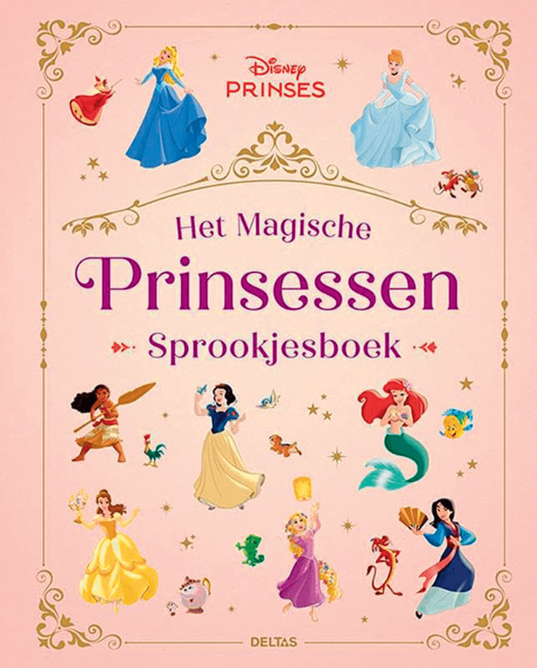 Het magische prinsessen sprookjesboek